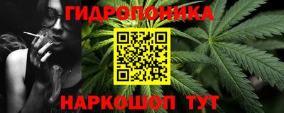 гашик Нарткала