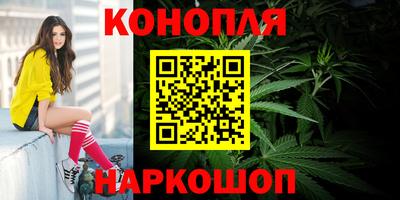 гашик Нарткала