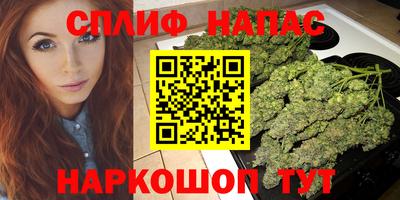 гашик Нарткала