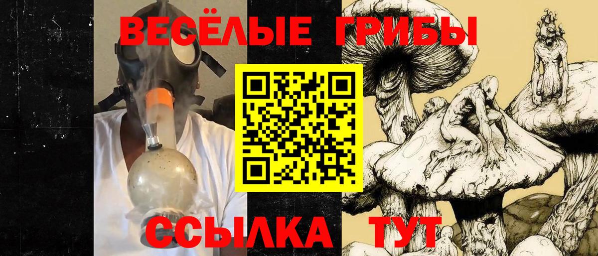 Псилоцибиновые грибы ЛСД Сухой Лог
