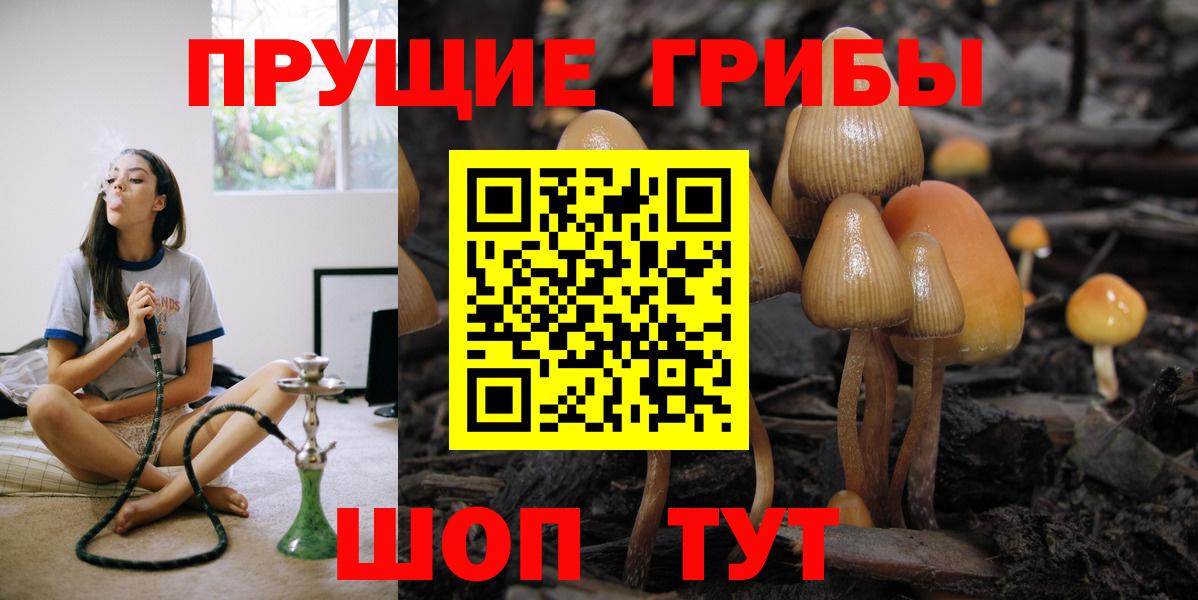 Псилоцибиновые грибы Psilocybine cubensis  Вход с VPN  Галлюциногенные грибы Psilocybine cubensis  Сухой Лог 